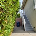 Photo - 8921 La Paloma Ave