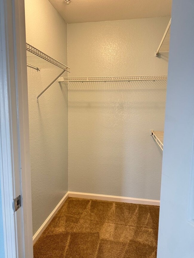 Photo - Magnificent 1 Bedroom Condo in Triana in Corona Ranch