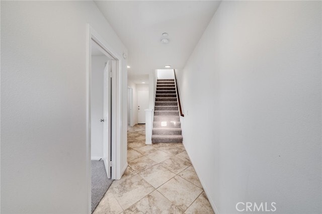 Photo - 814 Silk Tree