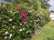 Photo - Spacious 3BR/2BA Tarzana Home with Lush Yard & Sunny Patio