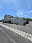 Photo - 10 Goldenbush