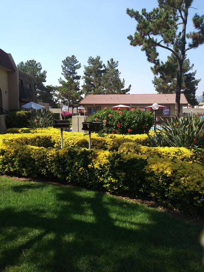 Barbeques and swimming pool surounded by beautiful gardens at Teton Pine Apartments in Escondido, California. - Teton Pines Apartments