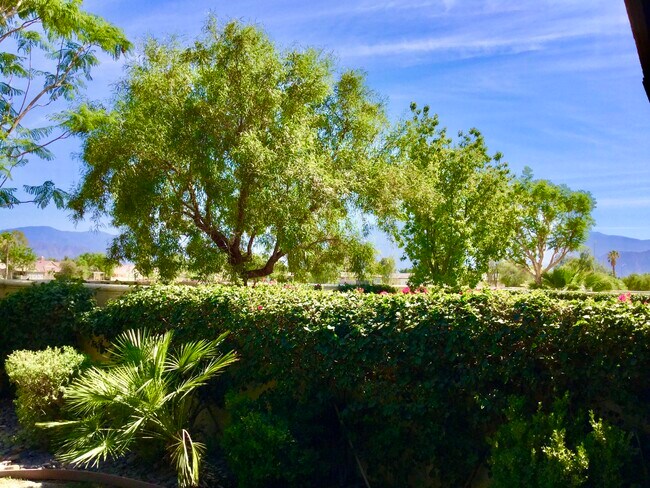 Photo - 82775 Burnette Dr