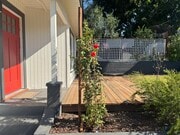 Photo - 1819 N Alvarado St