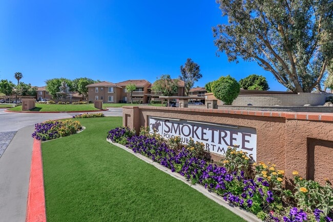 y♡ Smoketree - Indio, CA | WestsideRentals.com