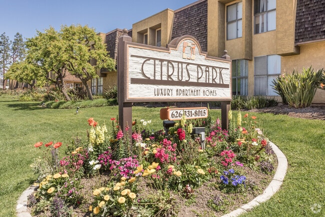 Monument - Citrus Park Apartments