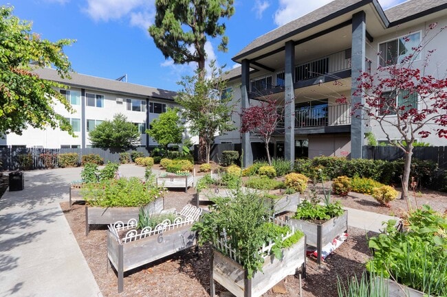 Building Photo - Miracle Terrace