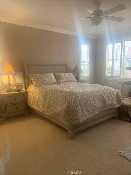 Photo - 26559 Chamomile St