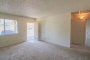 Photo - Updated, 2 bedroom, 1 bath apartment tucke... Unit I