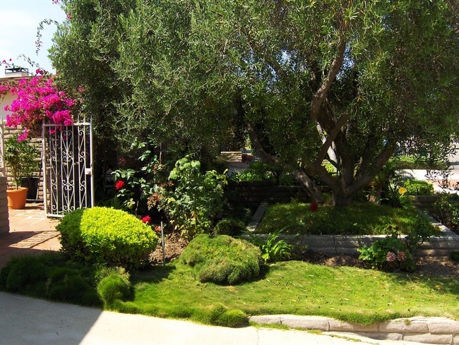 Photo - 809 N Paulina Ave