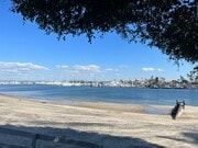 Photo - La Playa 1 bedroom, 1 bath Walking Distance to Bay & Point Loma Village