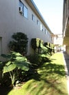 Photo - The Embers Apartments