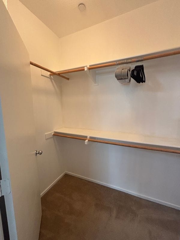 Photo - 3331 Night Bloom Ln