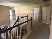 Photo - 14275 English Setter St