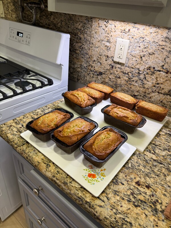 Photo - 6261 E El Paseo St