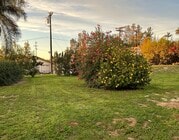 Back Yard - 1999 Valley Rim Rd