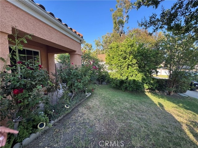 Photo - 3413 Morningwood Ct