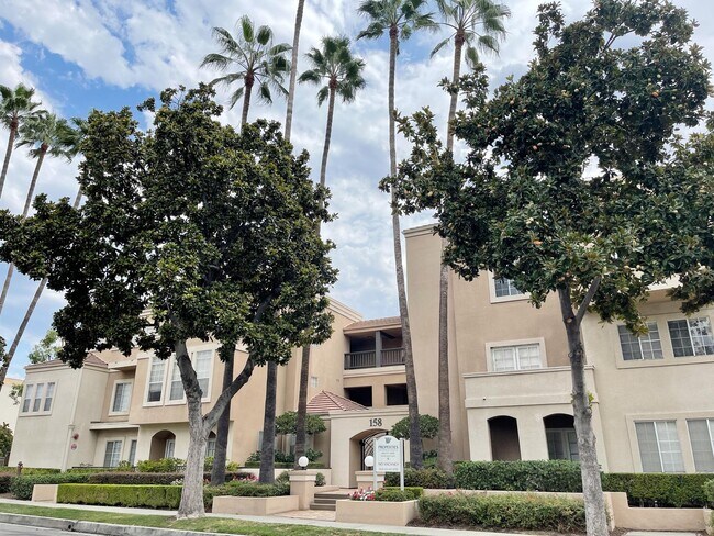 Photo - The Madison Apartments