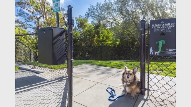 Pet Park - 4th Avenue Apartments