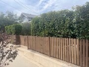 Privacy Hedge - 4427 Clayton Ave