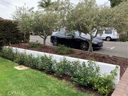 Photo - 480 Thalia St