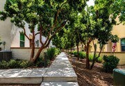 walkways - 3210 E Yountville Dr Unit 3210 E. Yountville #8