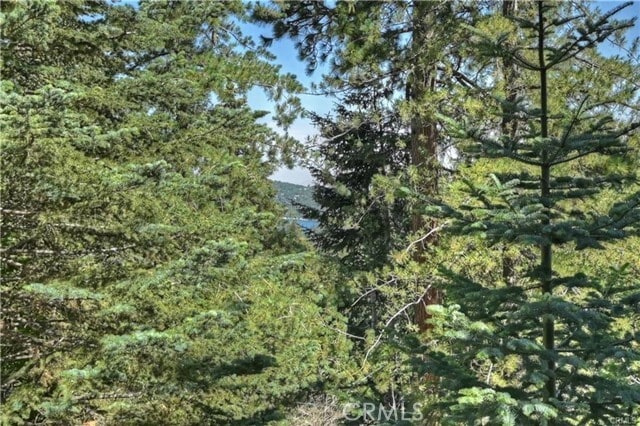 Photo - 28393 Larchmont Ln