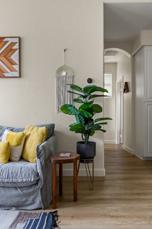 Photo - 662 Sweet Pea Pl