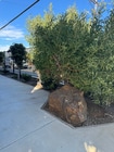 Photo - 813 N Carey Rd