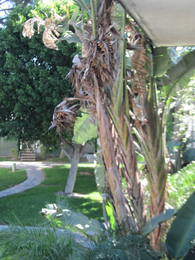 Photo - 1735 Washington St Condo Unit G25
