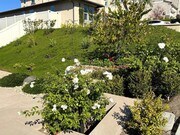 Photo - 911 Lindbergh Dr