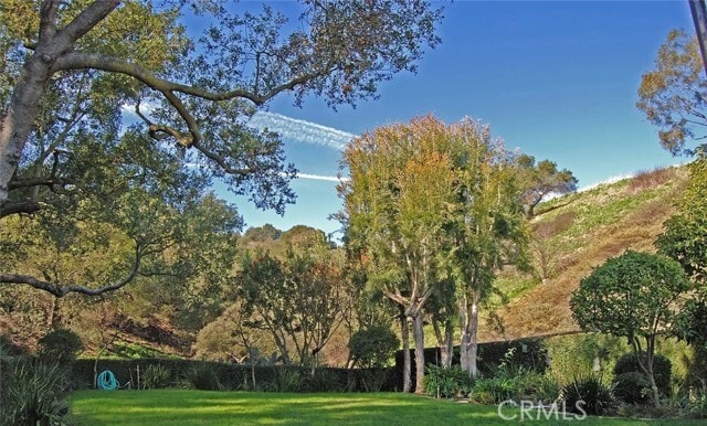 Photo - 2539 Saleroso Dr