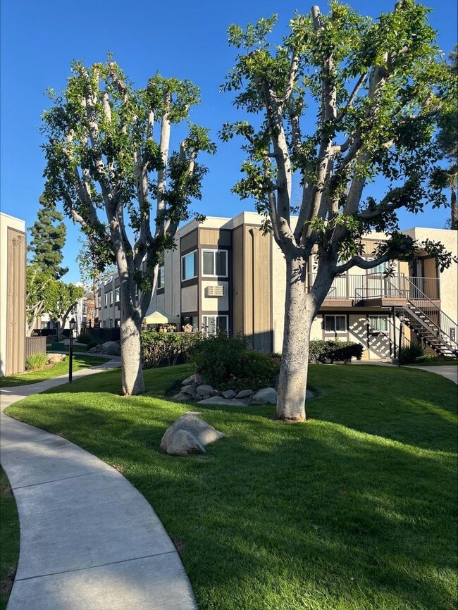 Photo - 104 Brookstone Apartments