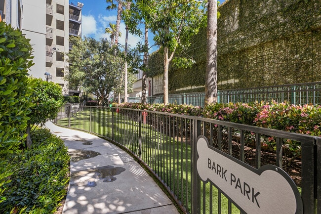 Photo - Anara Santa Monica