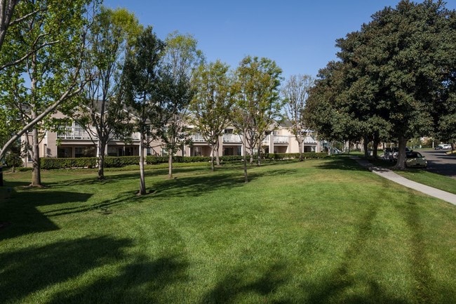 Photo - Channel Point