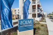 Signage - The Olive