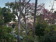 Photo - 1461 Carroll Ave Unit 3