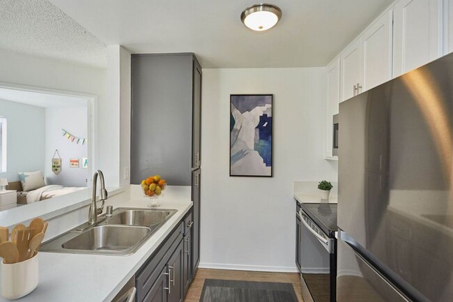 Photo - The Collective