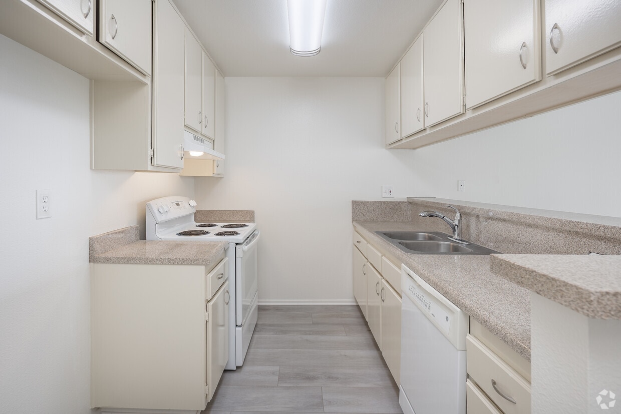 Floor Plan - 1 Bed 1 Bath (Catalina)