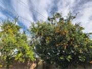 Photo - 7800 Fairchild Ave