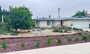 Photo - 11522 Poplar St House