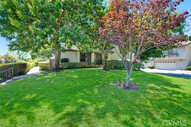 Photo - 14 Evening Breeze