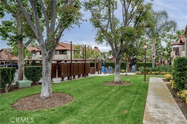 Photo - 68 Flor De Sol