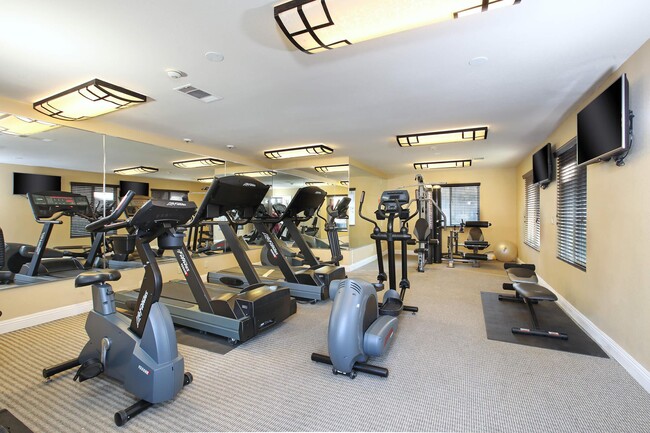 Photo - Alpine Woods