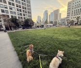 A dog lover's dream - across from dog park! - 108 W 2nd St Unit #212