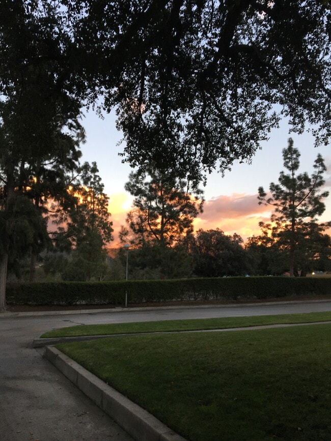 Street view and golf course - 3141 Country Club Dr