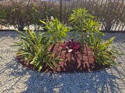 Photo - 1158 W 1st St