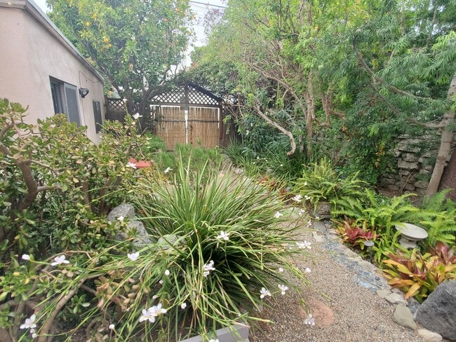 back garden - 663 Marine St Unit B
