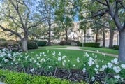 garden - 2222 Avenue of the Stars Condo Unit 205