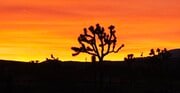 Photo - Halter Sunset Village Apartments